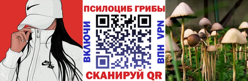 Псилоцибиновые грибы MAGIC MUSHROOMS  MEGA ТОР  Верея 